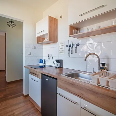 Tatry Panorama 자코파네