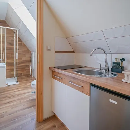 Tatry Panorama 자코파네