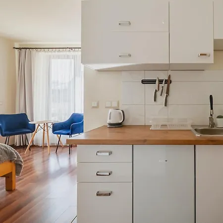 홈스테이 Tatry Panorama 자코파네