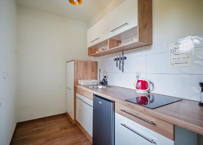 Tatry Panorama בית אירוח זקופאנה