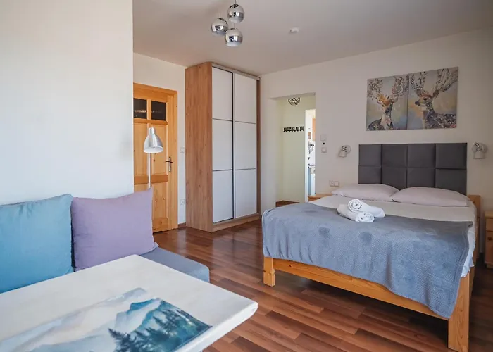 Tatry Panorama בית אירוח זקופאנה