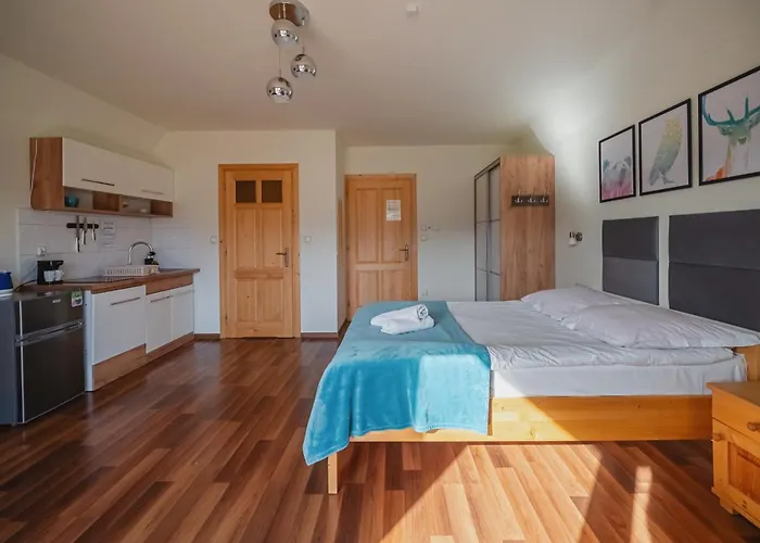 Tatry Panorama בית אירוח זקופאנה